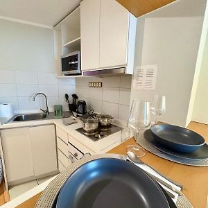 Apt Santiago Lastarria